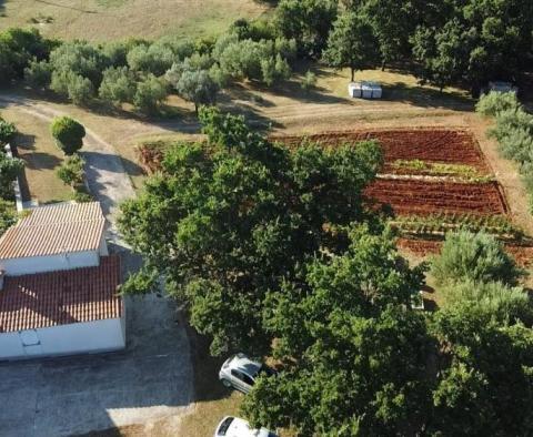 Riesiges Anwesen in Peruški, Marčana - foto 17