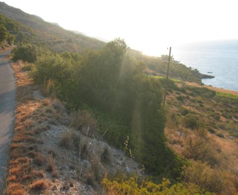 Terrain exceptionnel zoné T2 en bord de mer à Hvar - pic 5