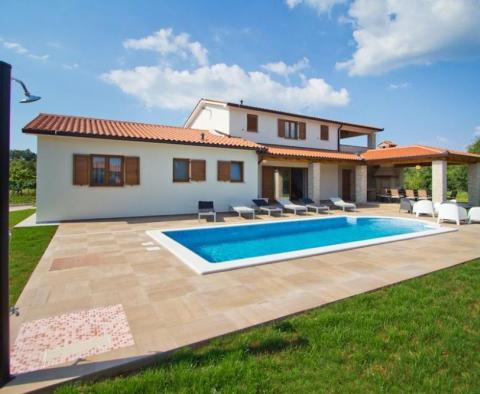 Belle villa avec piscine dans un environnement verdoyant du quartier de Labin 