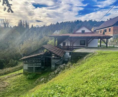 Interesting single-family house near the river in Severin na Kupe, Gorski Kotar - pic 2