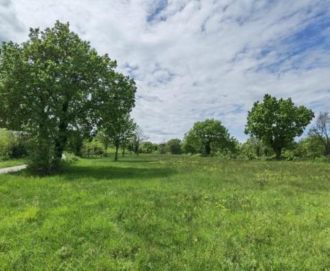 Terrain à bâtir pour investisseurs dans la région de Visnjan près de Porec - pic 15