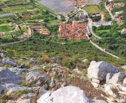 Több mint 100 000 négyzetméter. mezőgazdasági terület Peljesac - pic 3