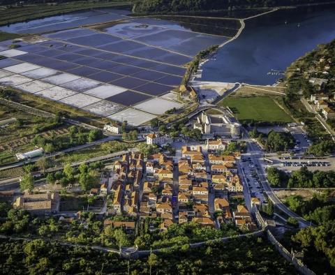 Plus de 100 000 m² de terres agricoles à Peljesac - pic 8