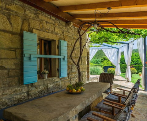 Istrian style villa in Buzet, with swimming pool - pic 8