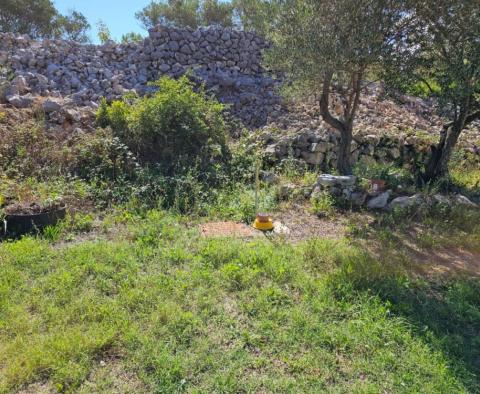  Maison au rez-de-chaussée dans une oliveraie à 400m de la mer dans la zone urbaine de Krk - pic 10