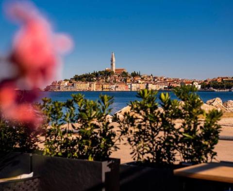 Business for sale in Rovinj - one of the best Rovinj restaurants - pic 3