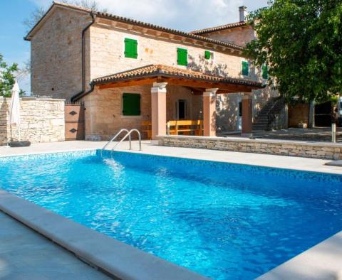 Beautiful stone villa with a swimming pool in Zminj! 