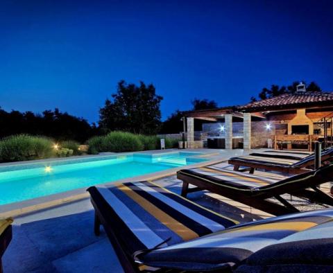 Comfortable Istrian style villa with a swimming pool and a spacious garden - pic 39