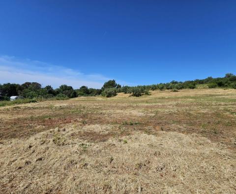 Land plot for construction in Pomer, Medulin, 100-150m from the sea - pic 4