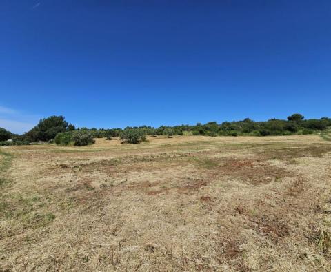 Land plot for construction in Pomer, Medulin, 100-150m from the sea - pic 5