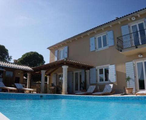 Vila ve stylu Provence s bazénem v Svetvinčenat - pic 6