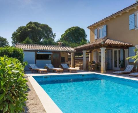 Provence style villa with swimming pool in Svetvinčenat - pic 7