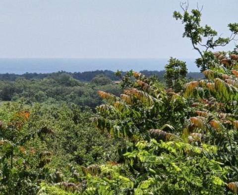 Terrain urbain à vendre à Buje, pour 3 villas de luxe, avec une vue magnifique sur la mer 