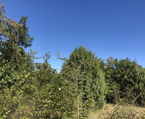 Ausgezeichnetes Baugrundstück in der Nähe des Meeres in Cizici, 100 Meter vom Wasserrand entfernt - foto 3