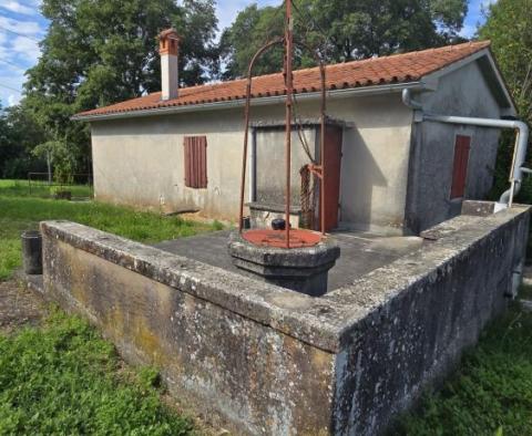 Dom w Labinie ze studnią i ponad 2 hektarami ziemi 