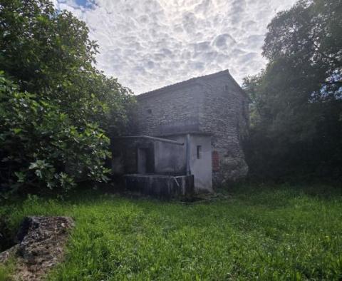 Dom w Labinie ze studnią i ponad 2 hektarami ziemi - pic 19