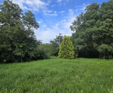 Dom w Labinie ze studnią i ponad 2 hektarami ziemi - pic 34