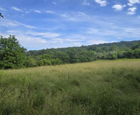 Dom w Labinie ze studnią i ponad 2 hektarami ziemi - pic 48