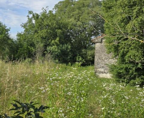 Dom w Labinie ze studnią i ponad 2 hektarami ziemi - pic 55