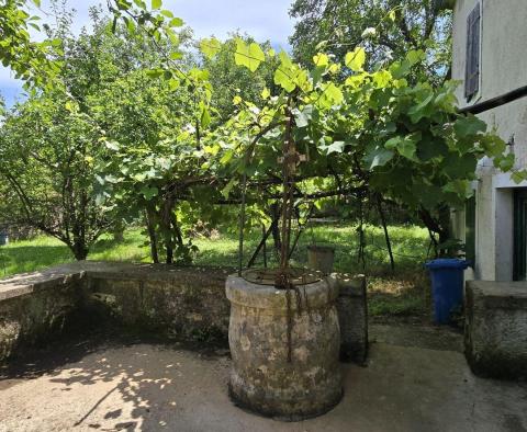 Tolles Investitionsobjekt in Svetveincenat - Steinhaus mit großem Garten - foto 2