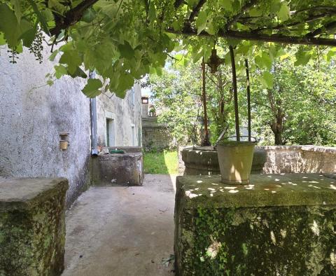 Great investment property in Svetveincenat - stone house with a spacious garden - pic 4