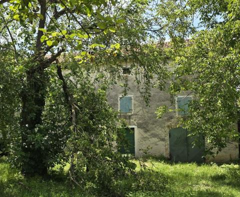 Great investment property in Svetveincenat - stone house with a spacious garden - pic 7
