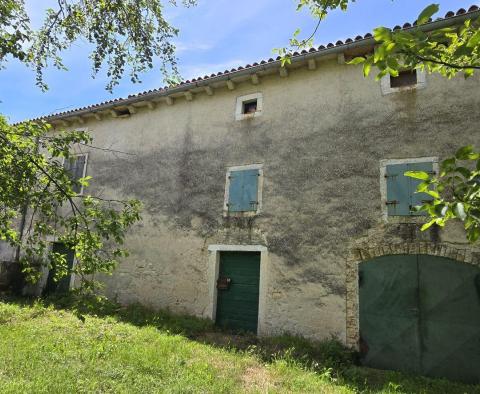 Great investment property in Svetveincenat - stone house with a spacious garden - pic 9