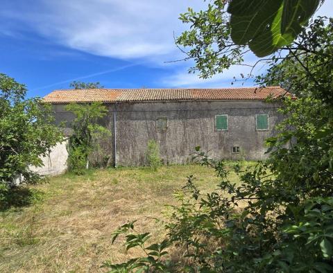 Tolles Investitionsobjekt in Svetveincenat - Steinhaus mit großem Garten - foto 15