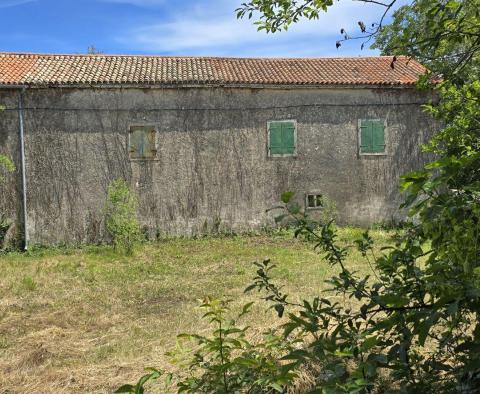 Tolles Investitionsobjekt in Svetveincenat - Steinhaus mit großem Garten - foto 16