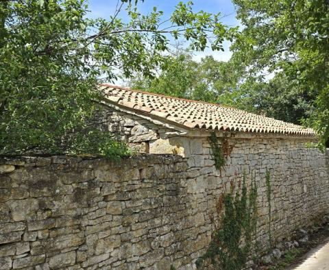 Tolles Investitionsobjekt in Svetveincenat - Steinhaus mit großem Garten - foto 28