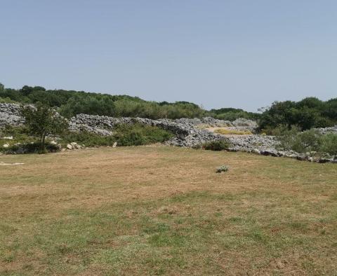 Oliveraie à Krk avec un bâtiment de ferme - pic 5