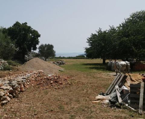 Oliveraie à Krk avec un bâtiment de ferme - pic 7