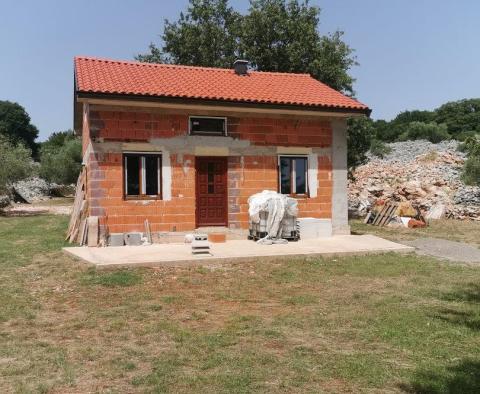 Olive grove on Krk with a farm building - pic 9