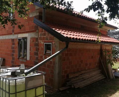 Olive grove on Krk with a farm building - pic 11