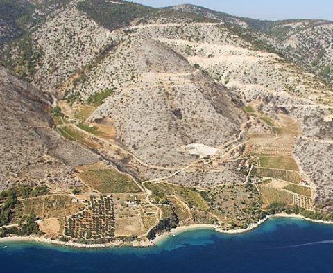 Extraordinary offer - agro land plot in Bol, Brac island - 1st row to the sea! - pic 2