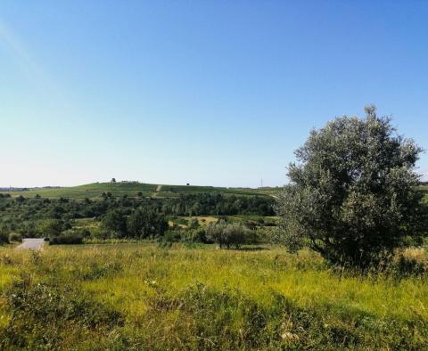 Building plot in Buje area on the edge of the construction zone, panoramic view  - pic 6