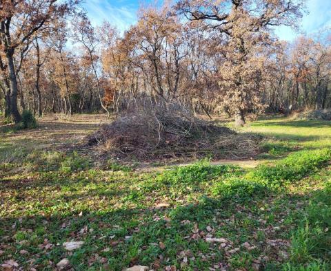 Merveilleuse combinaison de terrains agricoles et urbains à Valica, Umag - pic 2