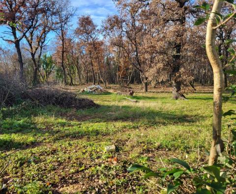 Wspaniałe połączenie gruntów rolnych i miejskich w Valica, Umag - pic 8