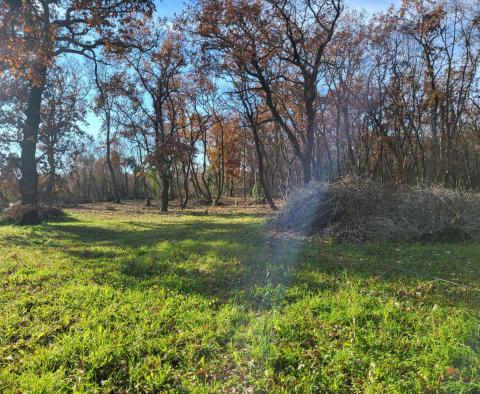 Merveilleuse combinaison de terrains agricoles et urbains à Valica, Umag - pic 9