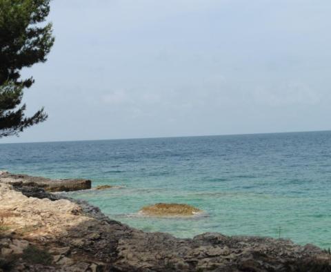 Appartement avec quatre appartements et une piscine à Premantura, à proximité du parc naturel de Kamenjak - pic 28