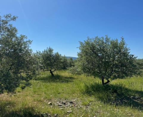 Erstaunliche Gelegenheit auf der Insel Krk! - foto 5