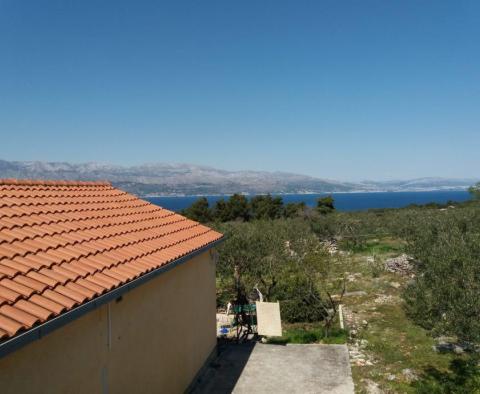 Grand terrain agricole avec oliveraie à Splitska, Brac - pic 2