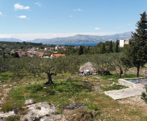 Duża działka rolna z gajem oliwnym w Splitskiej na Bracu - pic 10