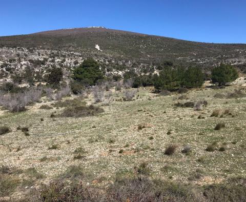 Terrain agricole avec vue sur la mer à vendre, Kastel Stafilic - pic 13