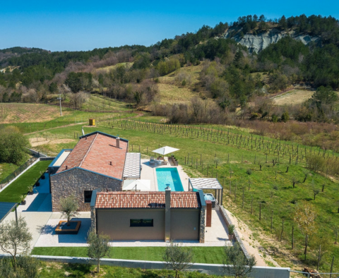 Villa moderne avec de belles vues située dans un endroit unique à Hum - pic 3