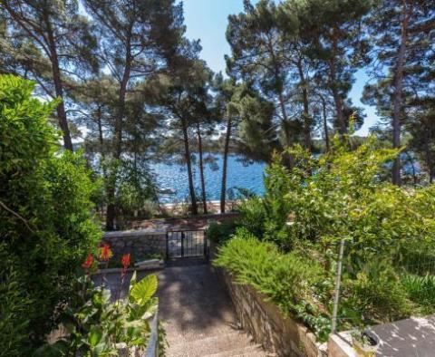 Apart-Haus mit Swimmingpool und 6 Apartments in erster Meereslinie auf Mali Losinj - foto 35