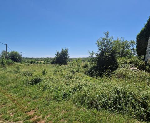 Pozemkový komplex 138 800 m2. v oblasti Rovinj s působivou antikou, 5 km od moře - pic 31