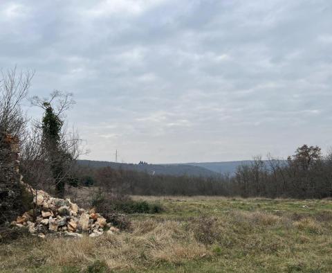 Grundstück in Brtonigla, über 5 Hektar - foto 3