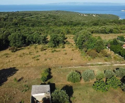 Fantastique domaine à Peruški, Marcana, à vendre - pic 9