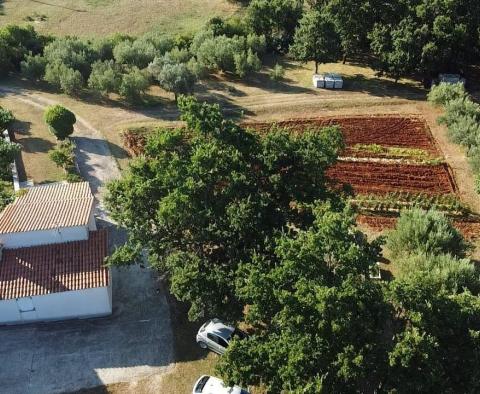 Fantastique domaine à Peruški, Marcana, à vendre - pic 17